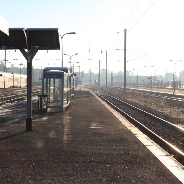 Thumbnail for Train - one day